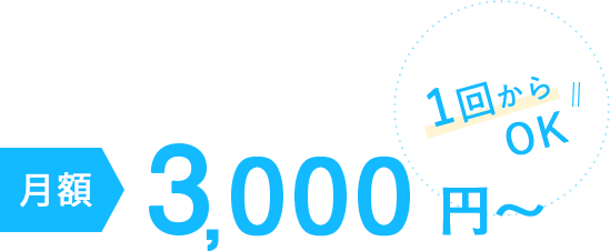 月額3,000円